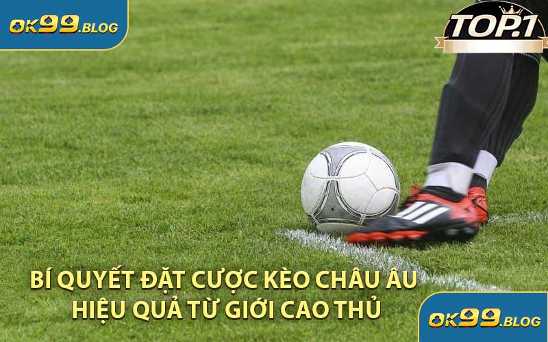 Bí Quyết Đặt Cược Kèo Châu Âu Hiệu Quả Từ Giới Cao Thủ