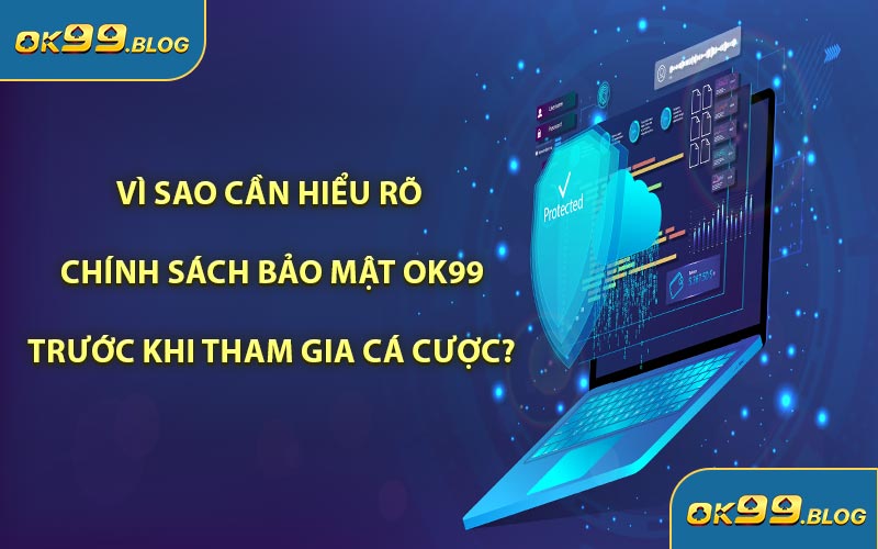 Vì Sao Cần Hiểu Rõ Chính Sách Bảo Mật OK99 Trước Khi Tham Gia Cá Cược?
